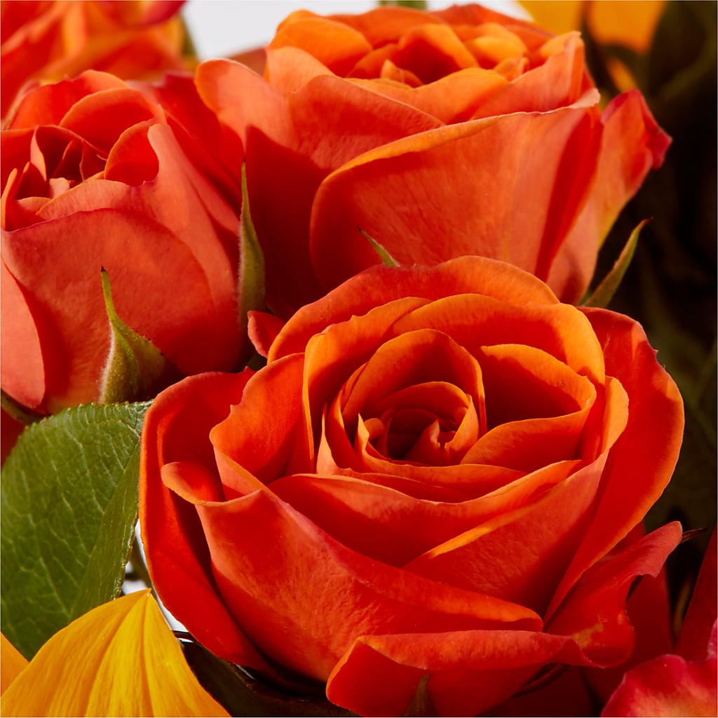 Picnic in the Park Bouquet –  Davinci Flower Shop Ltd, Scarborough ON