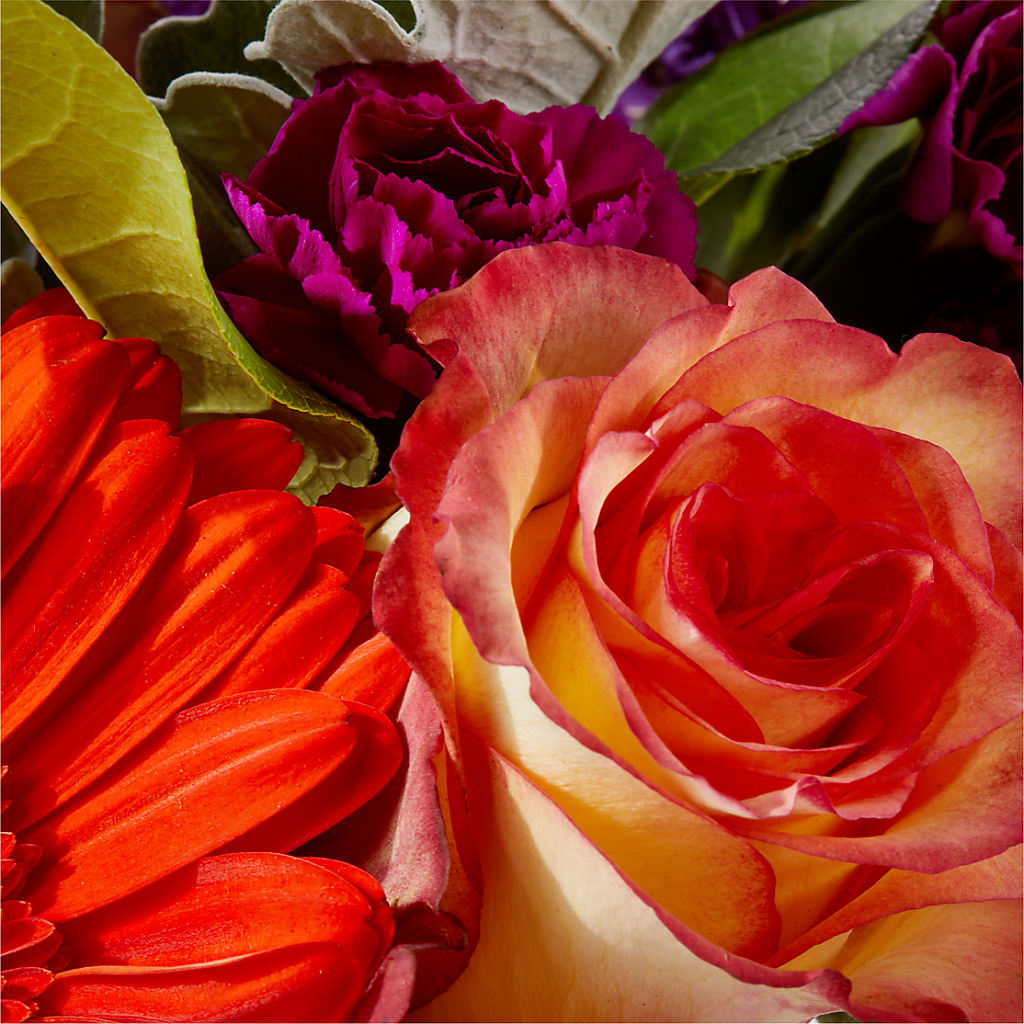 Sangria Bouquet –  Davinci Flower Shop Ltd, Scarborough ON