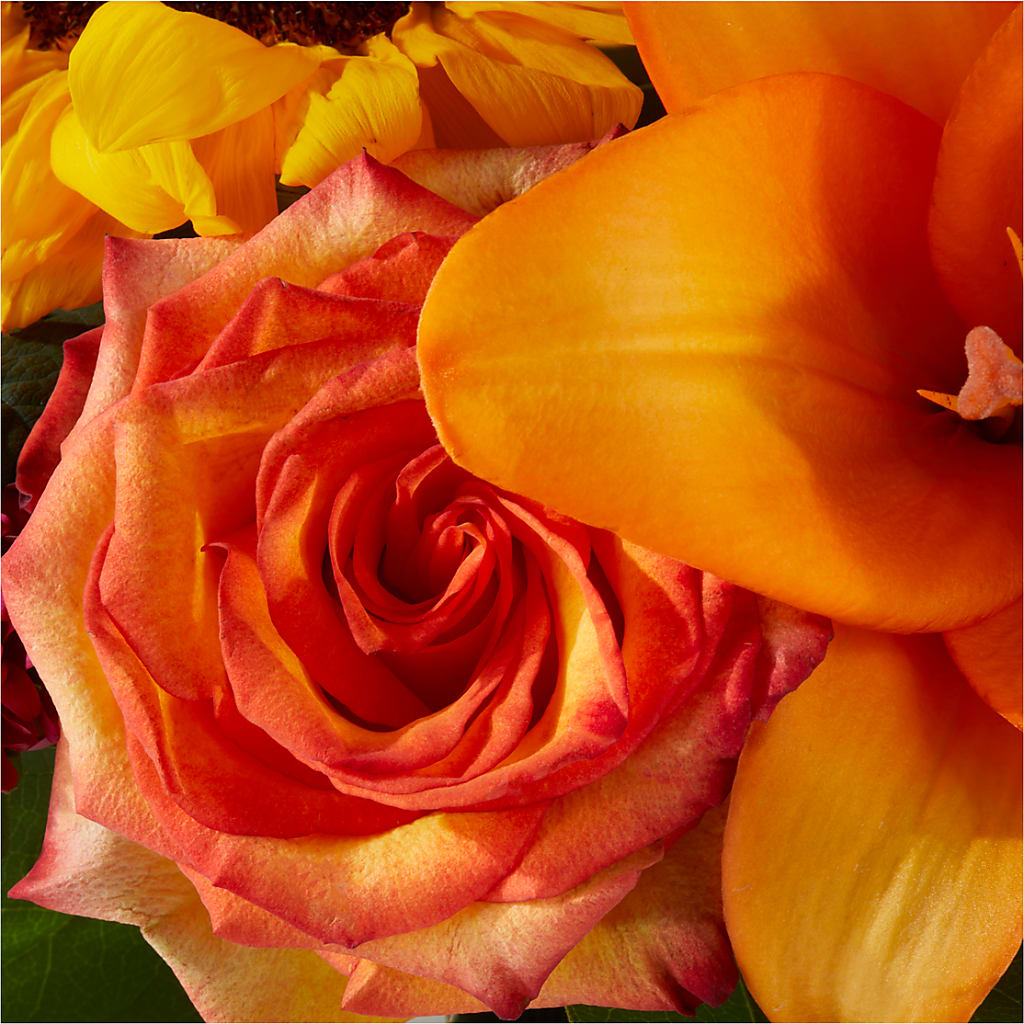 Grateful Centerpiece –  Davinci Flower Shop Ltd, Scarborough ON