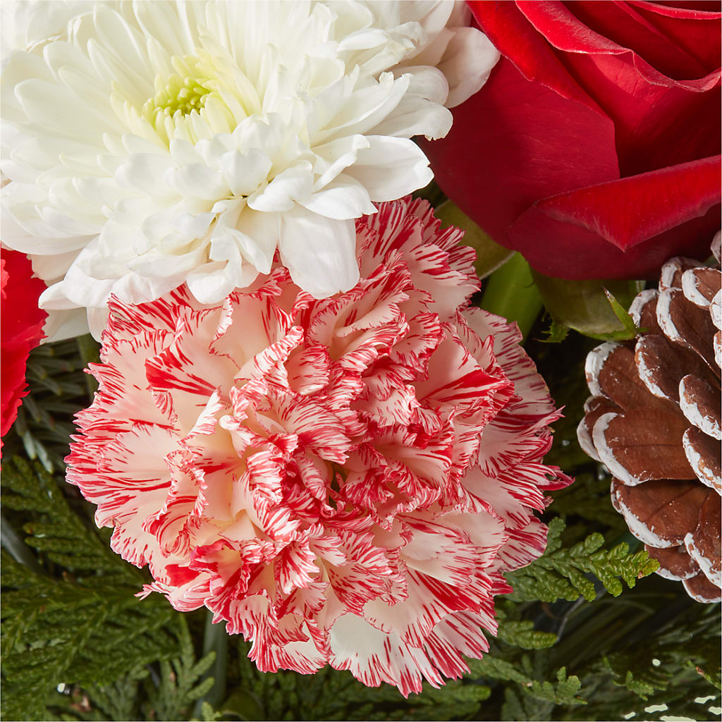 Candy Cane Lane Bouquet –  Davinci Flower Shop Ltd, Scarborough ON