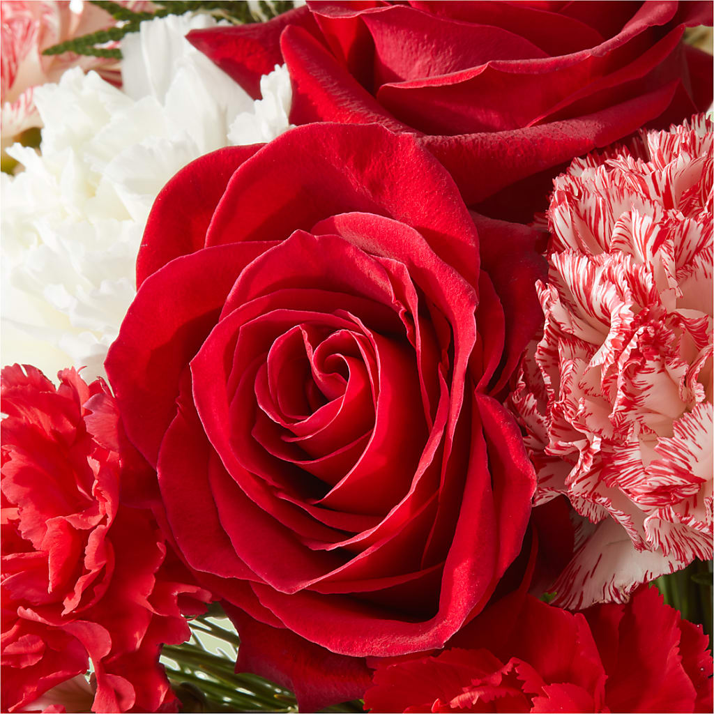 Candy Cane Lane Bouquet –  Davinci Flower Shop Ltd, Scarborough ON