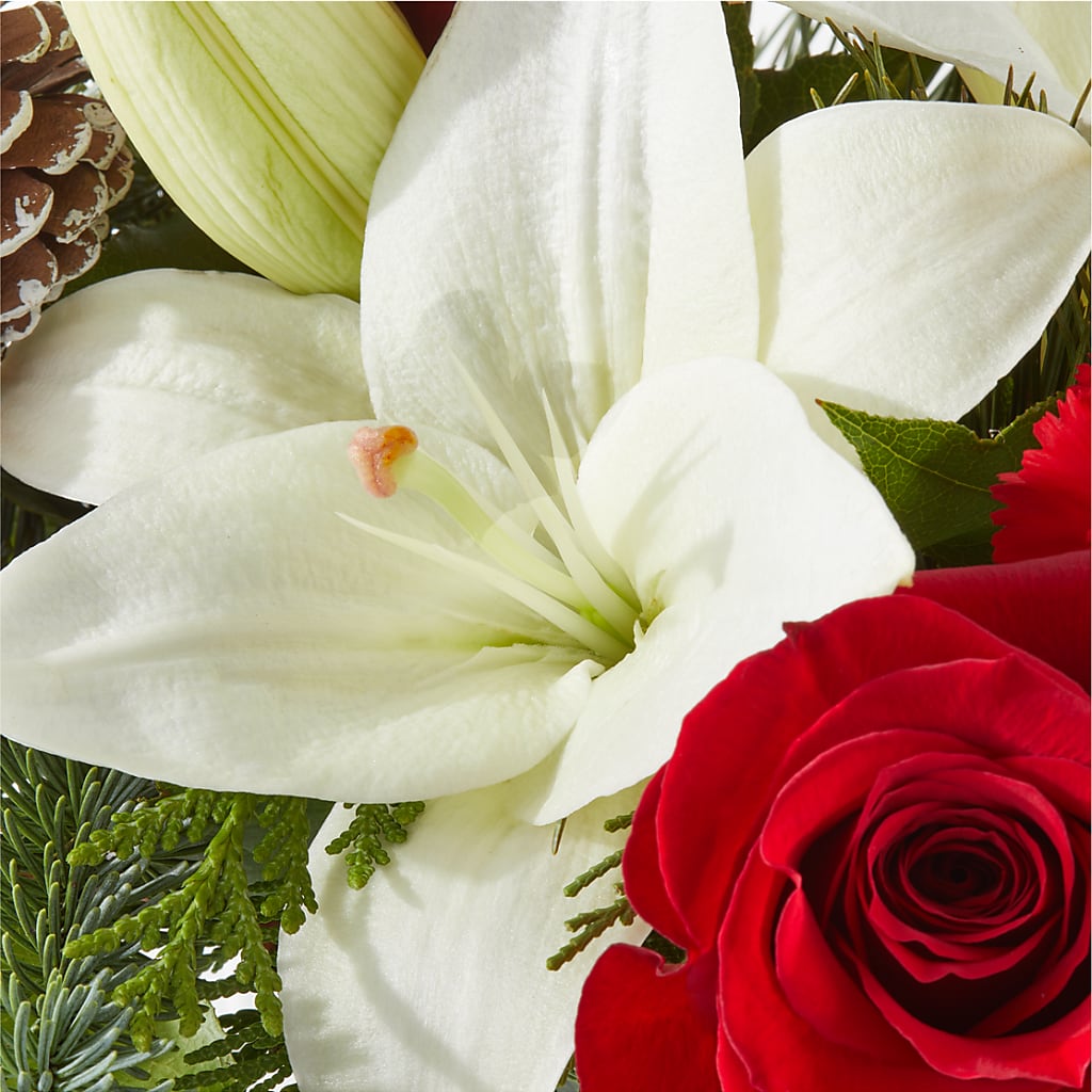 Oh So Jolly Bouquet –  Davinci Flower Shop Ltd, Scarborough ON