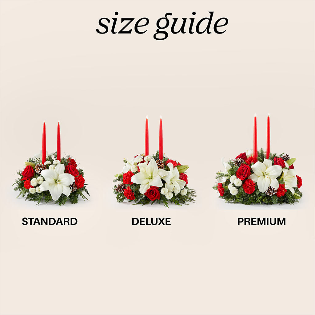 Seasonal Festivities Centerpiece –  Davinci Flower Shop Ltd, Scarborough ON