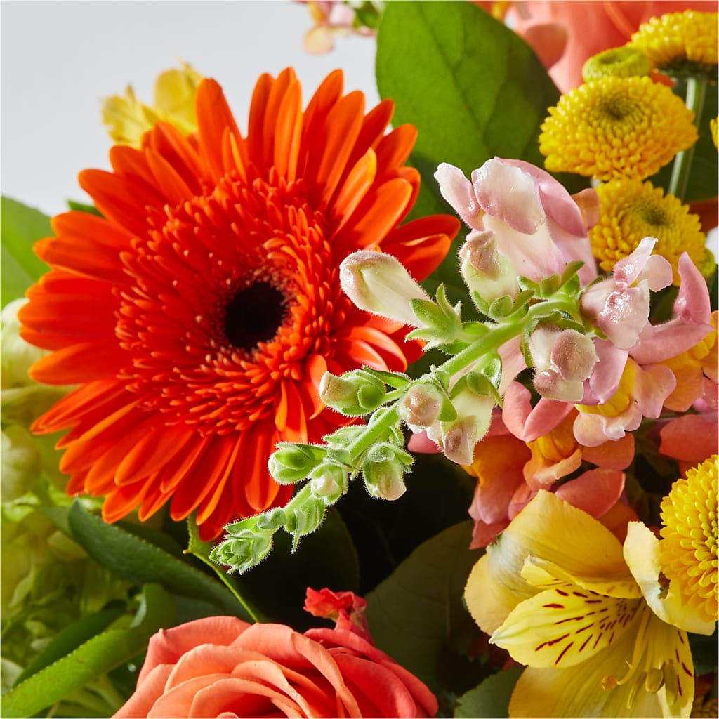 Autumn Sunshine Bouquet –  Davinci Flower Shop Ltd, Scarborough ON