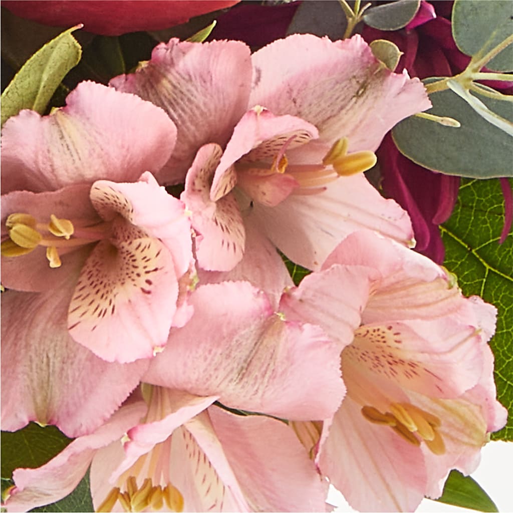 Berry Cobbler Bouquet –  Davinci Flower Shop Ltd, Scarborough ON