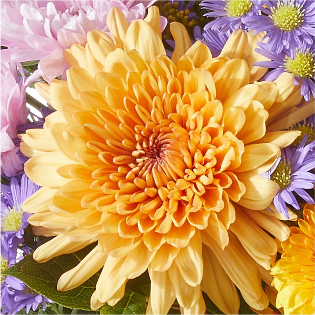 Countryside Bouquet –  Davinci Flower Shop Ltd, Scarborough ON