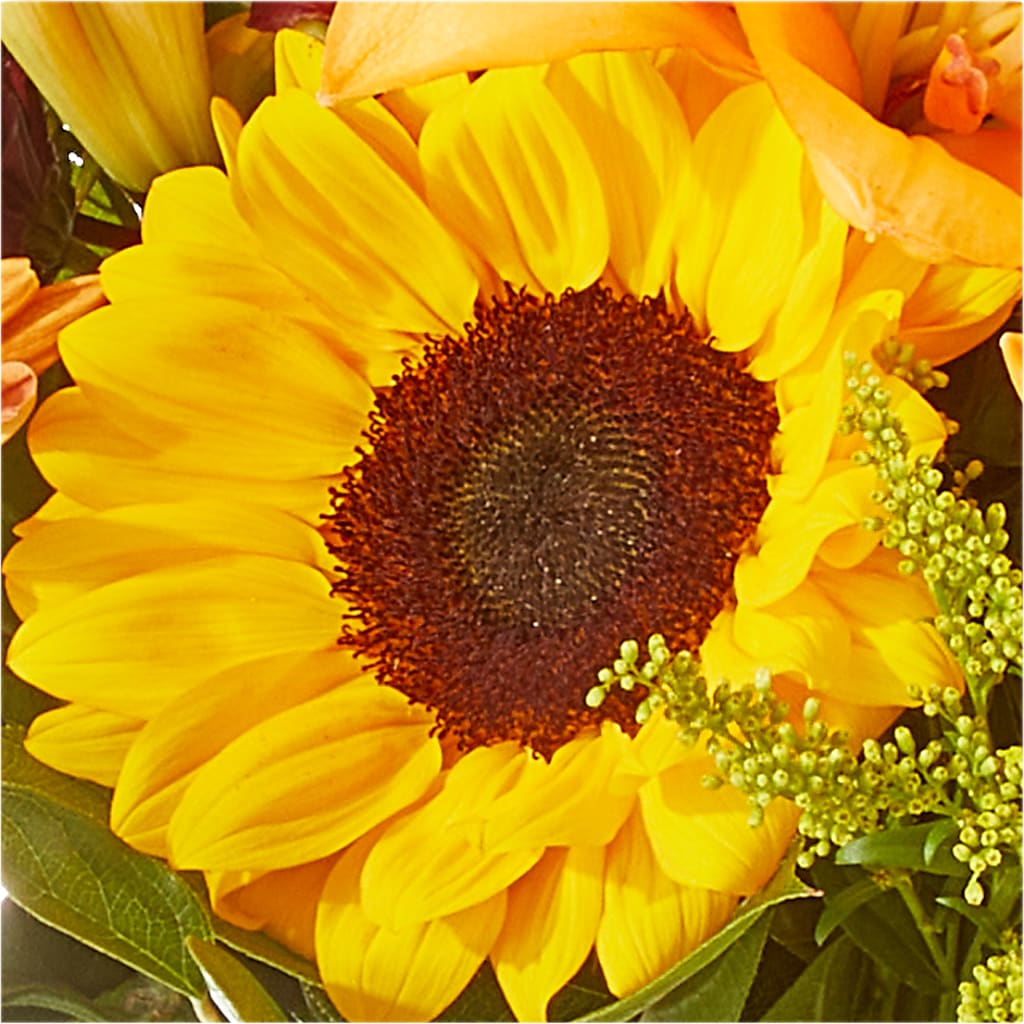 Seasons Change Bouquet –  Davinci Flower Shop Ltd, Scarborough ON