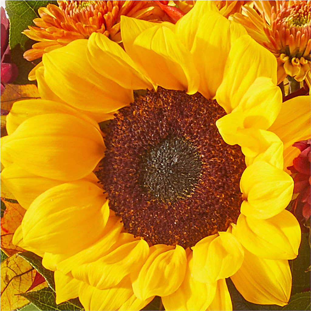 Sunny Side Bouquet –  Davinci Flower Shop Ltd, Scarborough ON