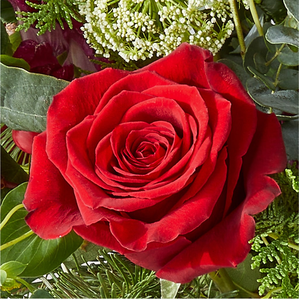 Cranberry Fizz Bouquet –  Davinci Flower Shop Ltd, Scarborough ON