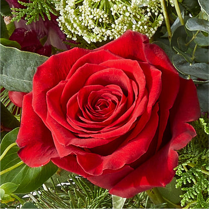 Cranberry Fizz Bouquet –  Davinci Flower Shop Ltd, Scarborough ON