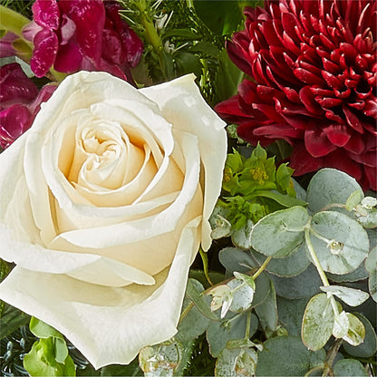 Cranberry Fizz Bouquet –  Davinci Flower Shop Ltd, Scarborough ON