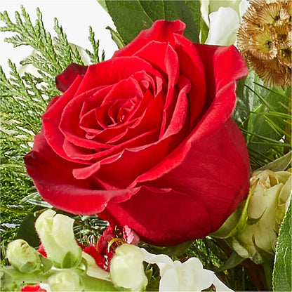 Deck the Halls Bouquet –  Davinci Flower Shop Ltd, Scarborough ON