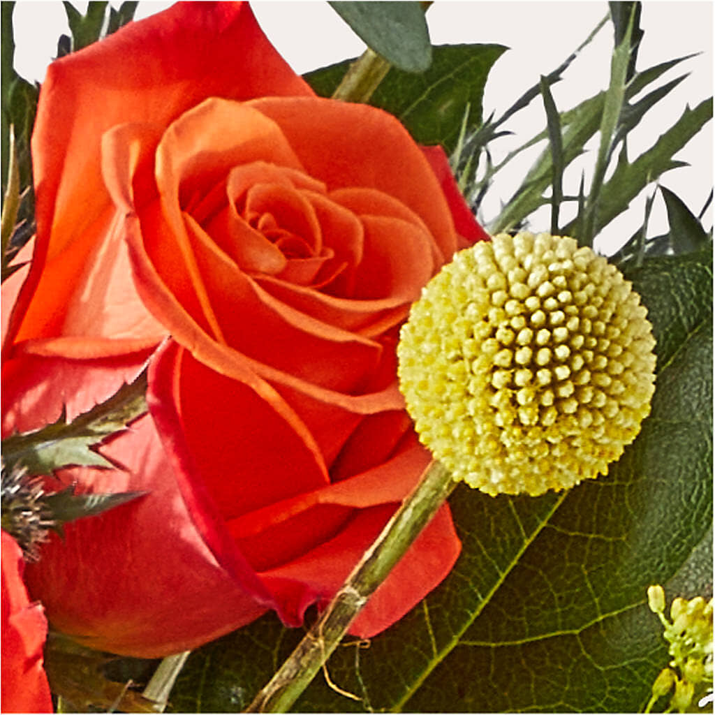 Disco Bouquet –  Davinci Flower Shop Ltd, Scarborough ON