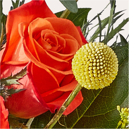 Disco Bouquet –  Davinci Flower Shop Ltd, Scarborough ON