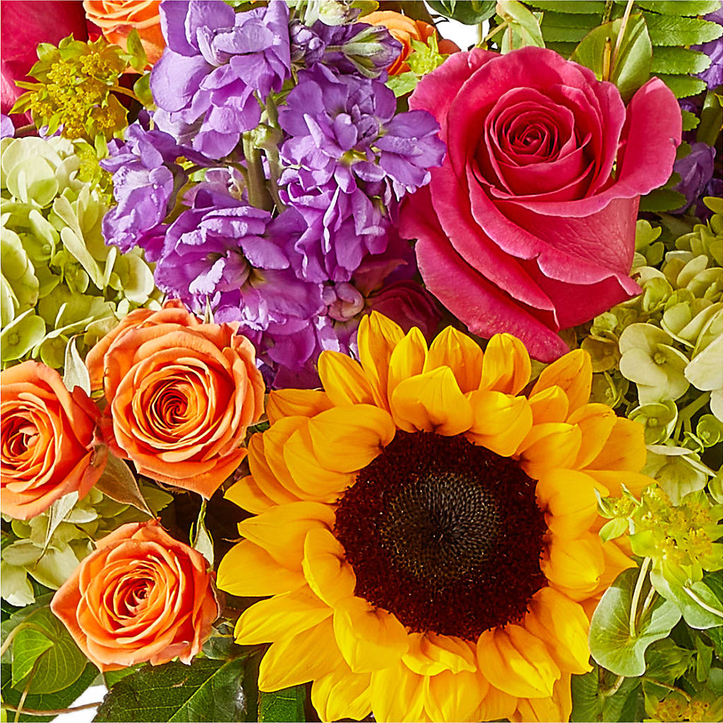 Vibrant Greetings Bouquet –  Davinci Flower Shop Ltd, Scarborough ON