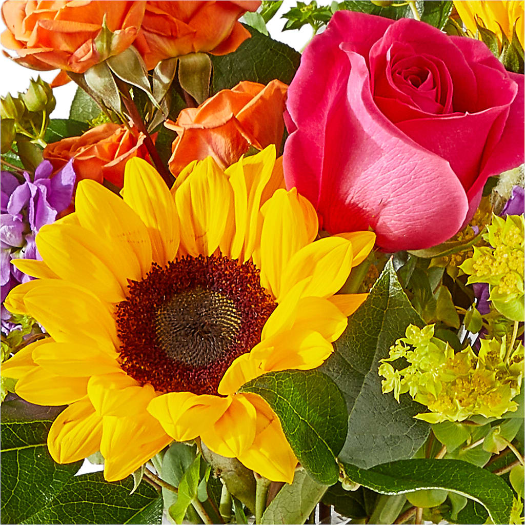 Vibrant Greetings Bouquet –  Davinci Flower Shop Ltd, Scarborough ON