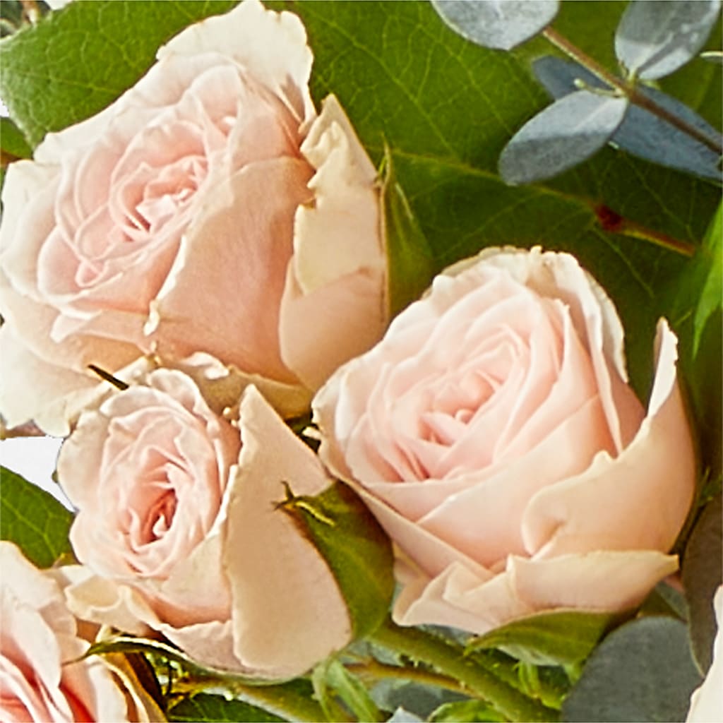 Inspired Bouquet –  Davinci Flower Shop Ltd, Scarborough ON