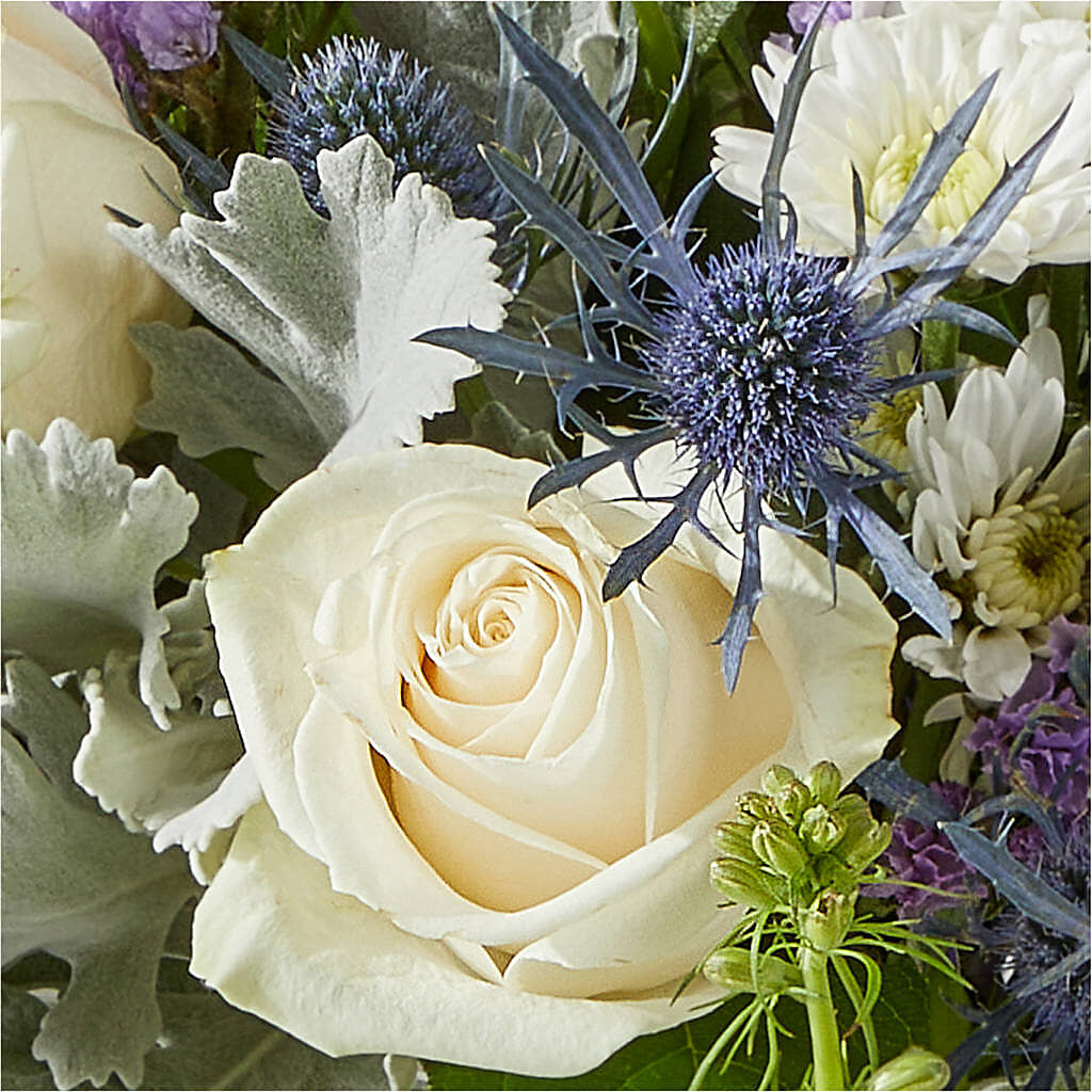 Shooting Star Bouquet –  Davinci Flower Shop Ltd, Scarborough ON