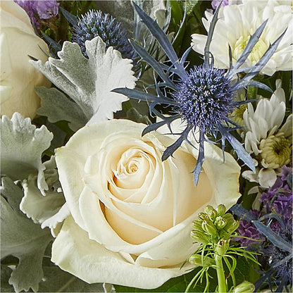 Shooting Star Bouquet –  Davinci Flower Shop Ltd, Scarborough ON