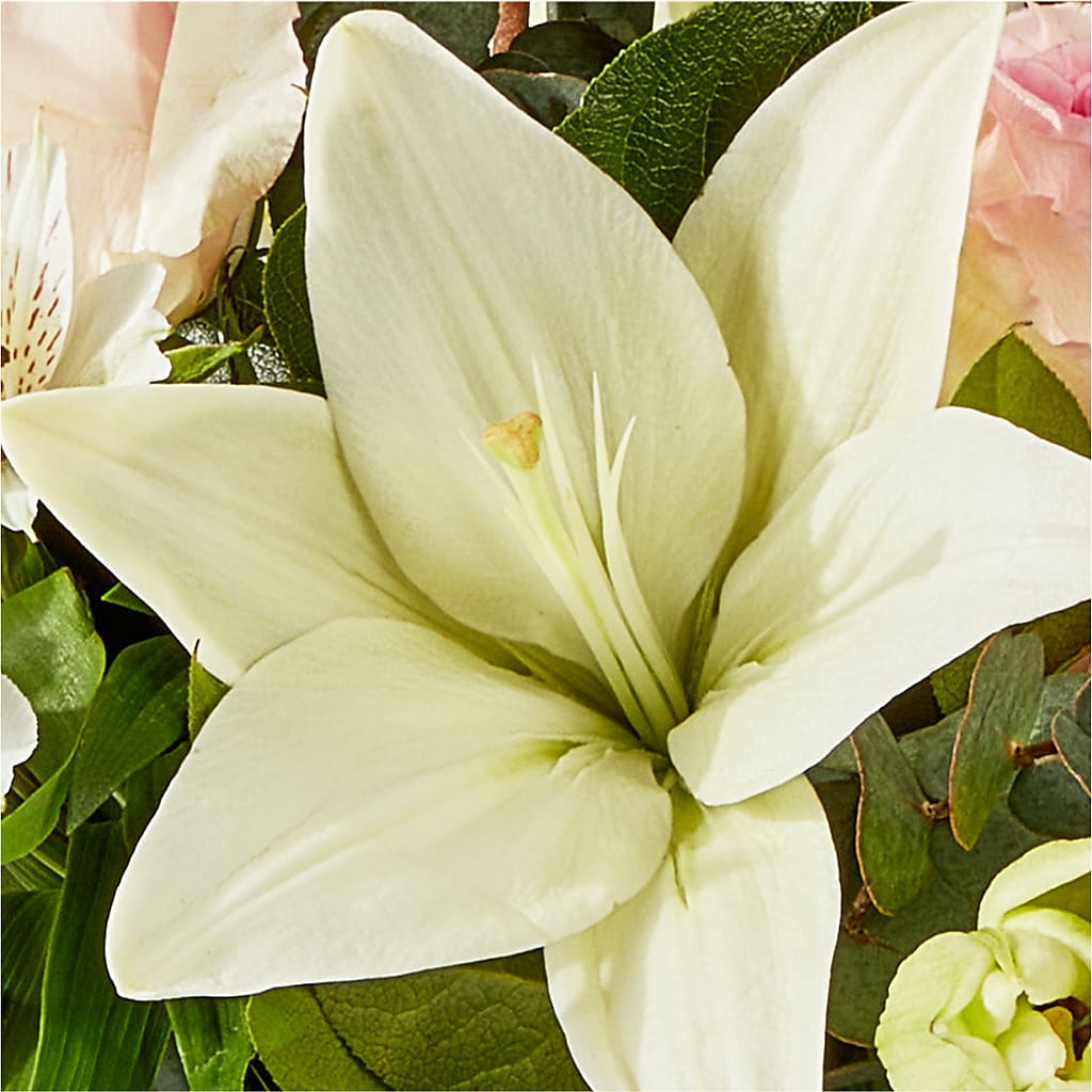 Ballet Slippers Bouquet –  Davinci Flower Shop Ltd, Scarborough ON