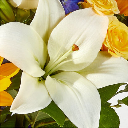 Wonderfully Sunny Bouquet –  Davinci Flower Shop Ltd, Scarborough ON