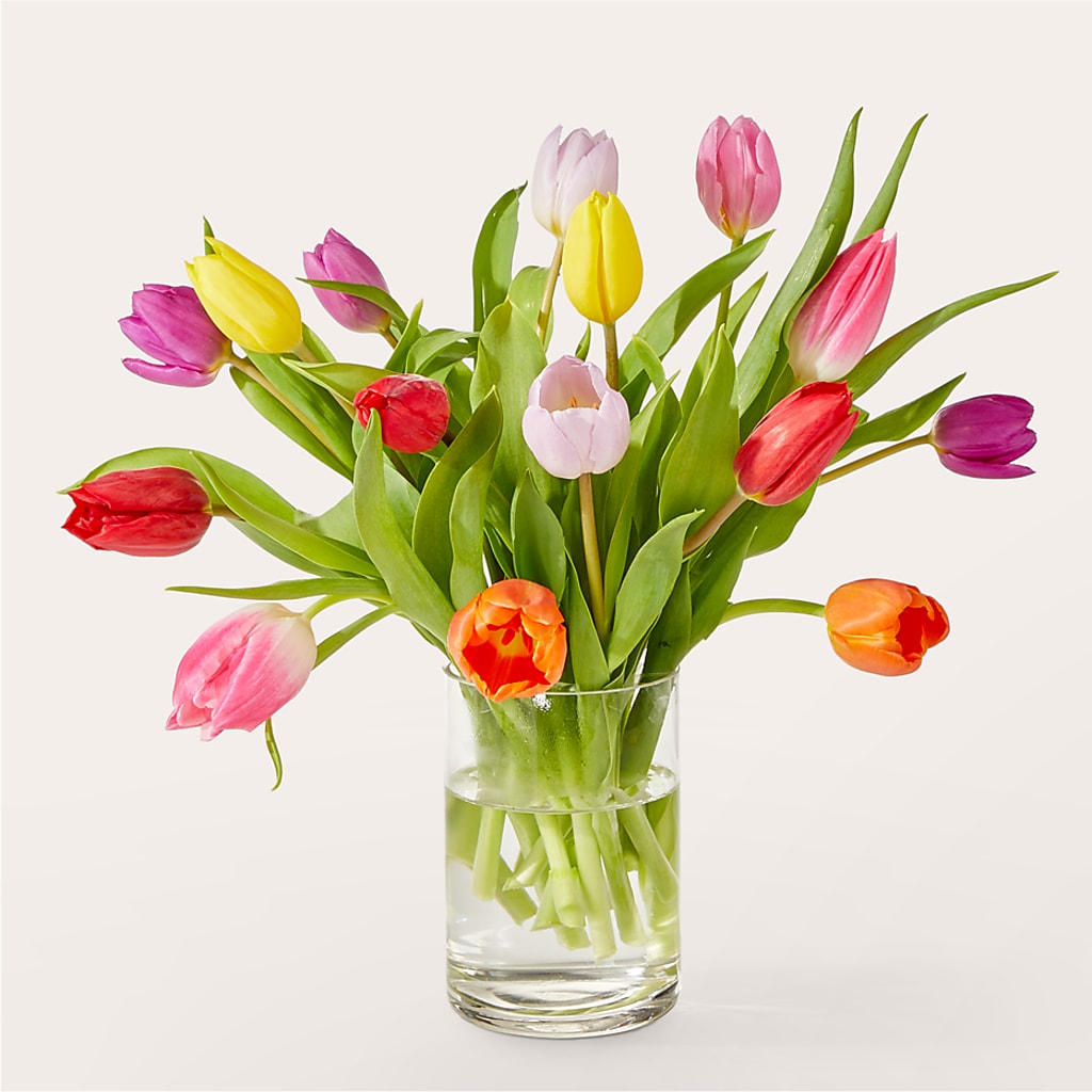 Lets talk tulips