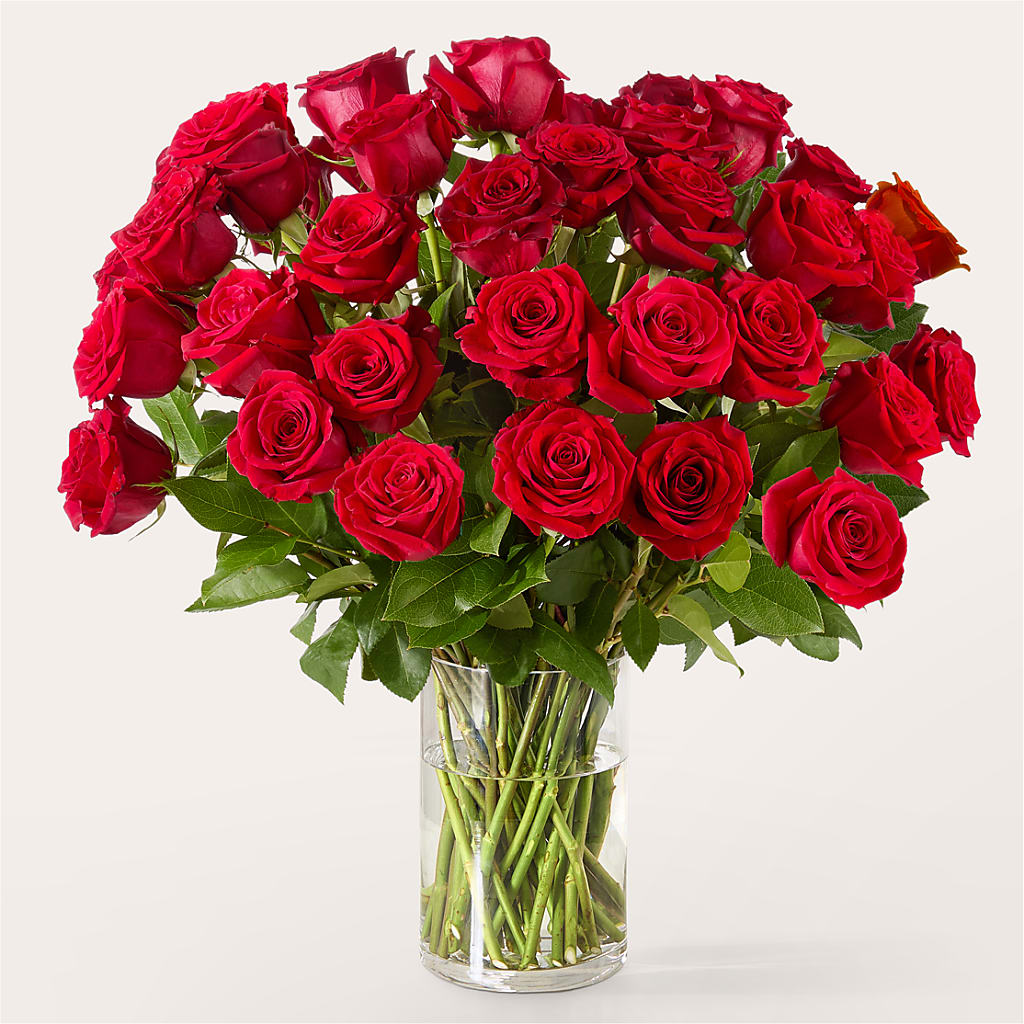 The One Red Rose Bouquet –  Davinci Flower Shop Ltd, Scarborough ON