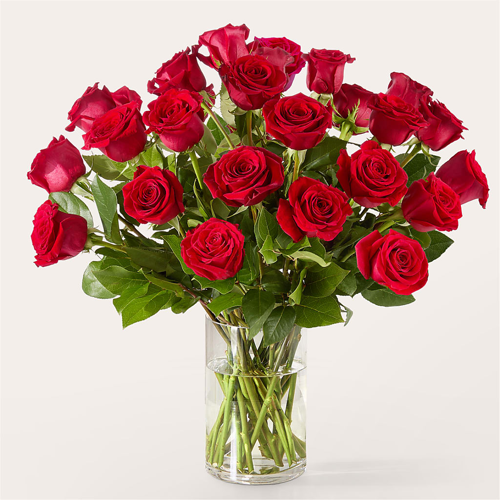 The One Red Rose Bouquet –  Davinci Flower Shop Ltd, Scarborough ON
