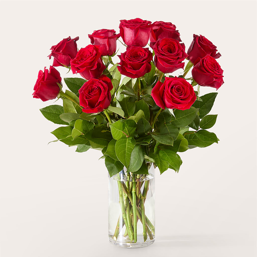 The One Red Rose Bouquet –  Davinci Flower Shop Ltd, Scarborough ON