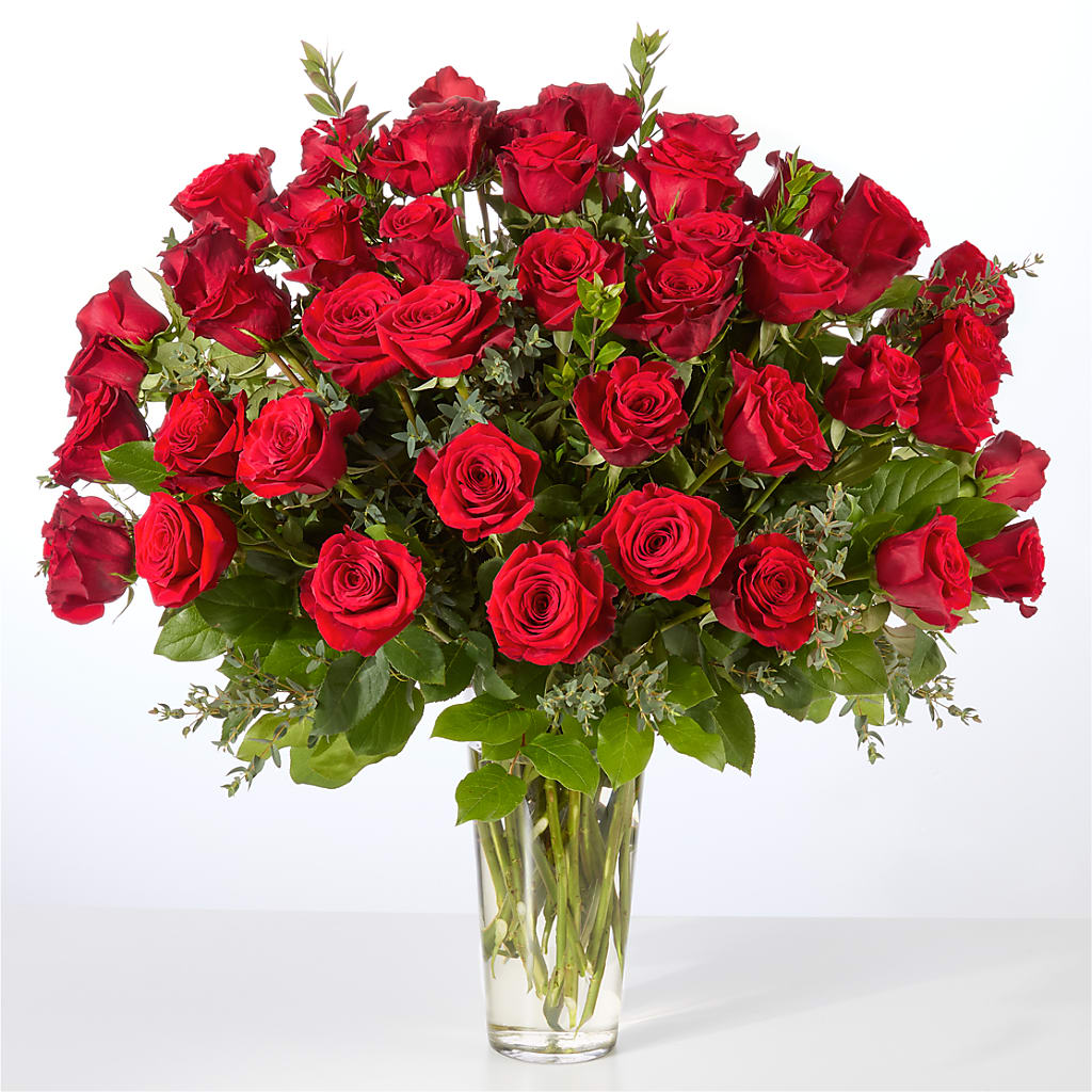 Forever Yours Fifty Stem Red Rose Bouquet –  Davinci Flower Shop Ltd, Scarborough ON