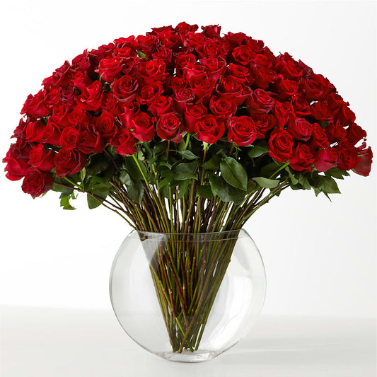 The Idealist –  Davinci Flower Shop Ltd, Scarborough ON